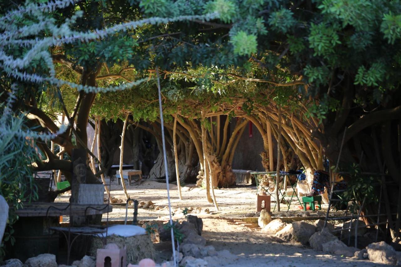 招待所 Dar Tawarta