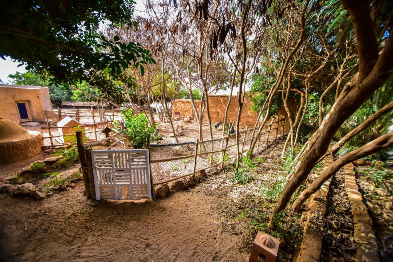 Dar Tawarta * Dakhla