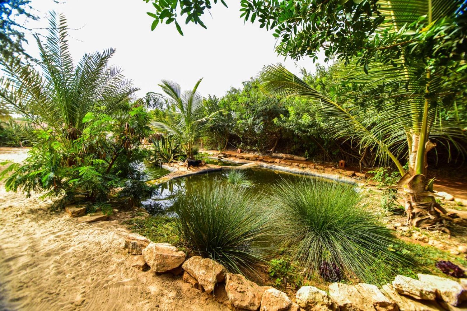 Dar Tawarta * Dakhla