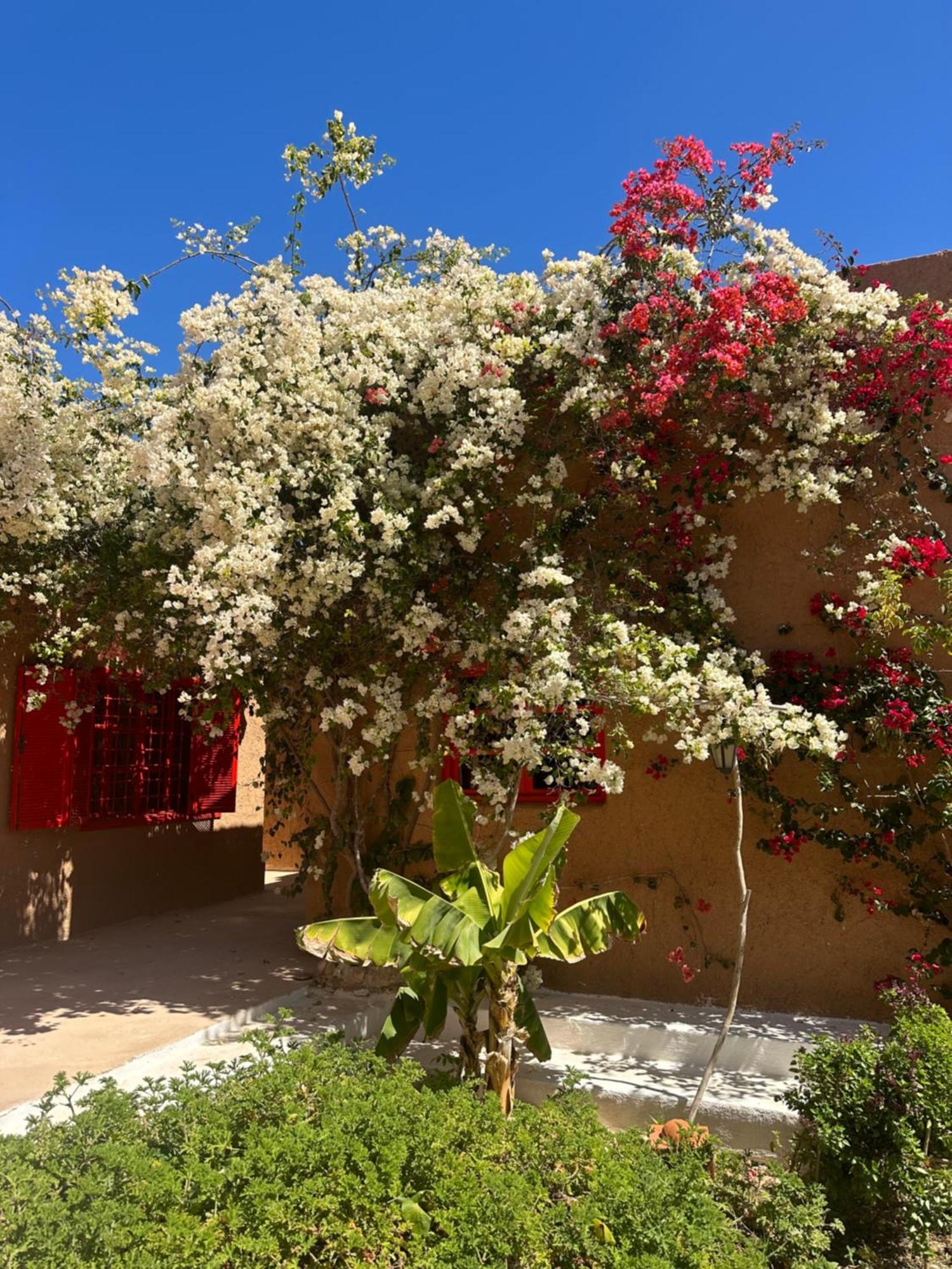 Affittacamere Dar Tawarta Dakhla
