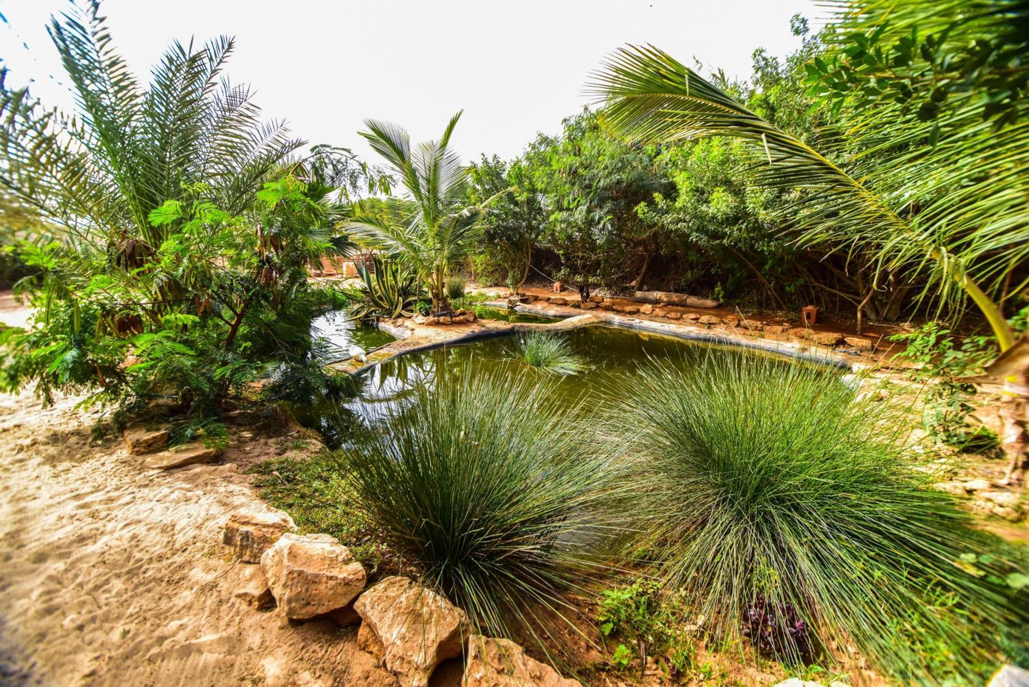 Dar Tawarta Dakhla