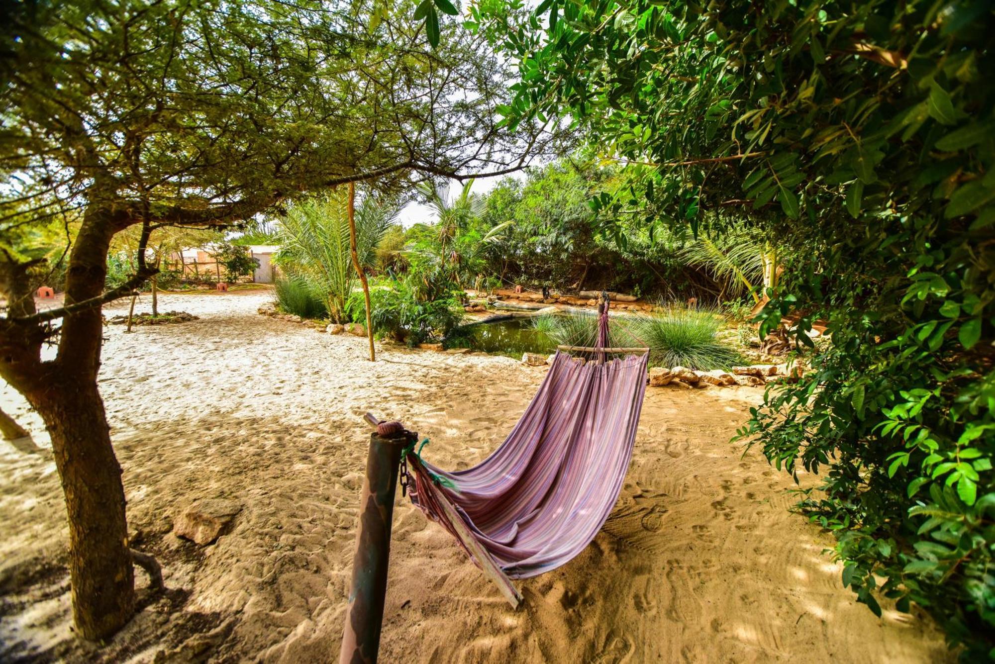 Dar Tawarta * Dakhla
